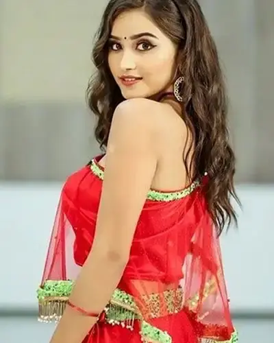 Escort In Vadakara